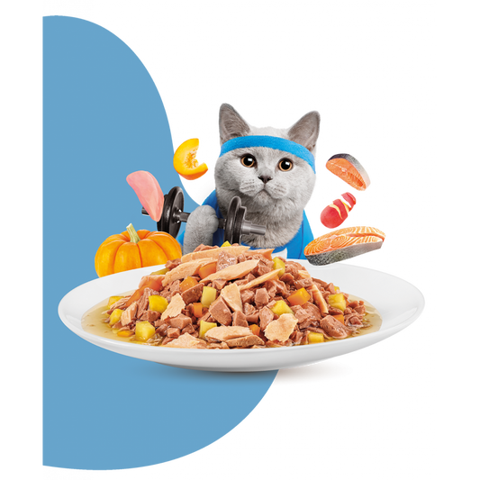 Moochie Cat Food Mince With Salmon - Weight Control Pouch