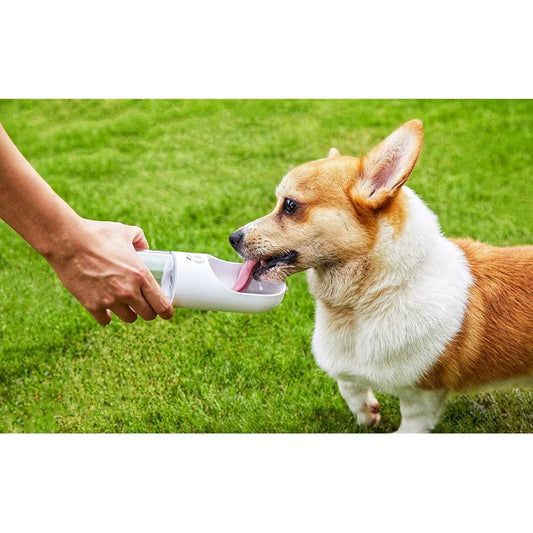 PETKIT WATER BOTTLE - WHITE