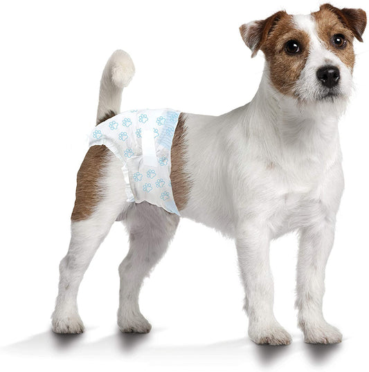Four Paws Wee-Wee Disposable Dog Diapers 12 Count Small