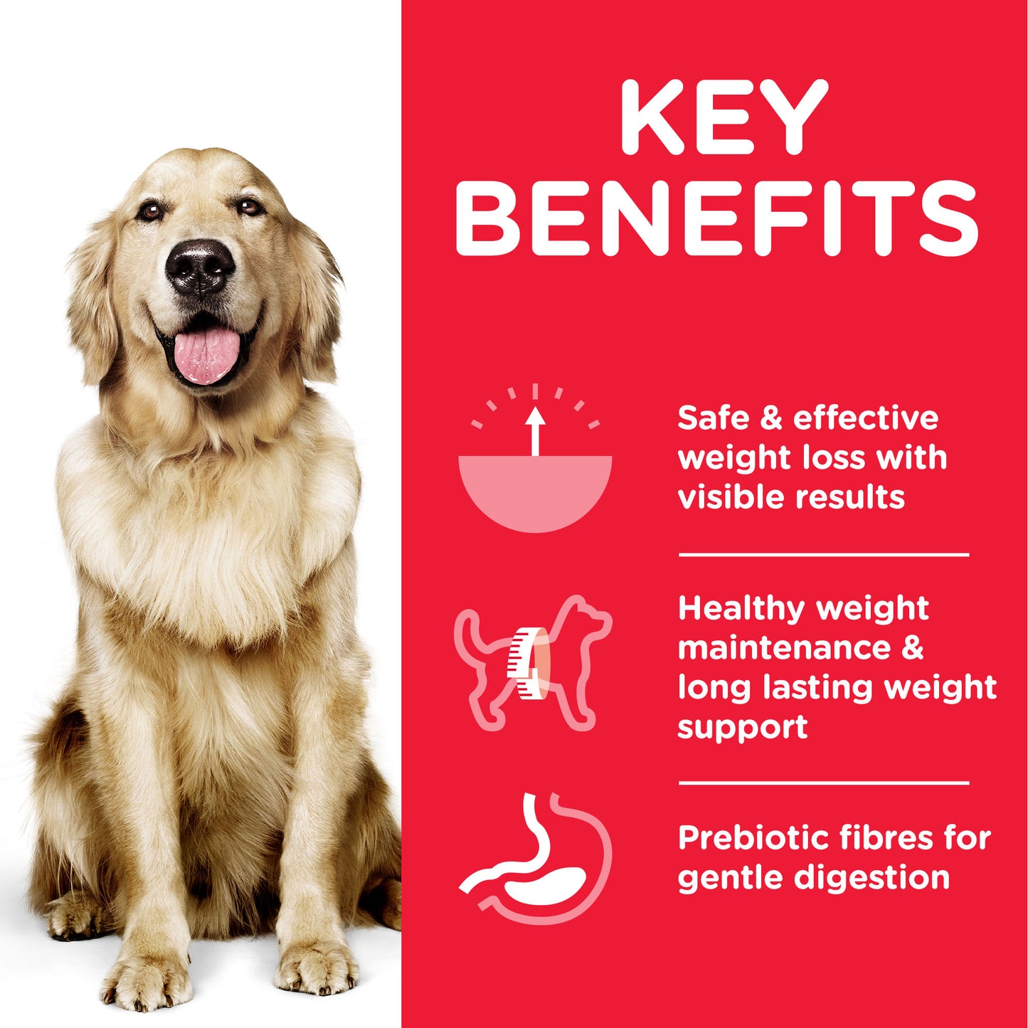 Hill’s Science Plan Perfect Weight Large Breed Adult Dog Food With Chicken