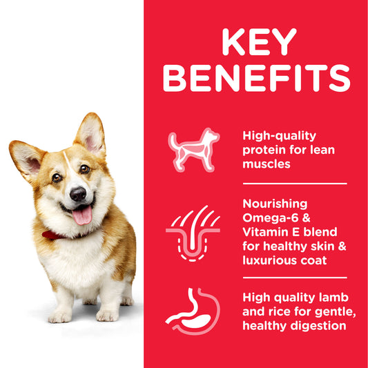 Hill’s Science Plan Small & Mini Adult Dog Food With Chicken 3 Kg