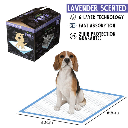 Nutra pet Poo N Pee Pads charcoal Scented 60 Cms X 60 Cms 5 X Absorption With Floor Mat Stickers - 100 Count LARGE