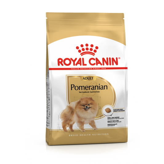 POMERANIAN ADULT 1.5 KG