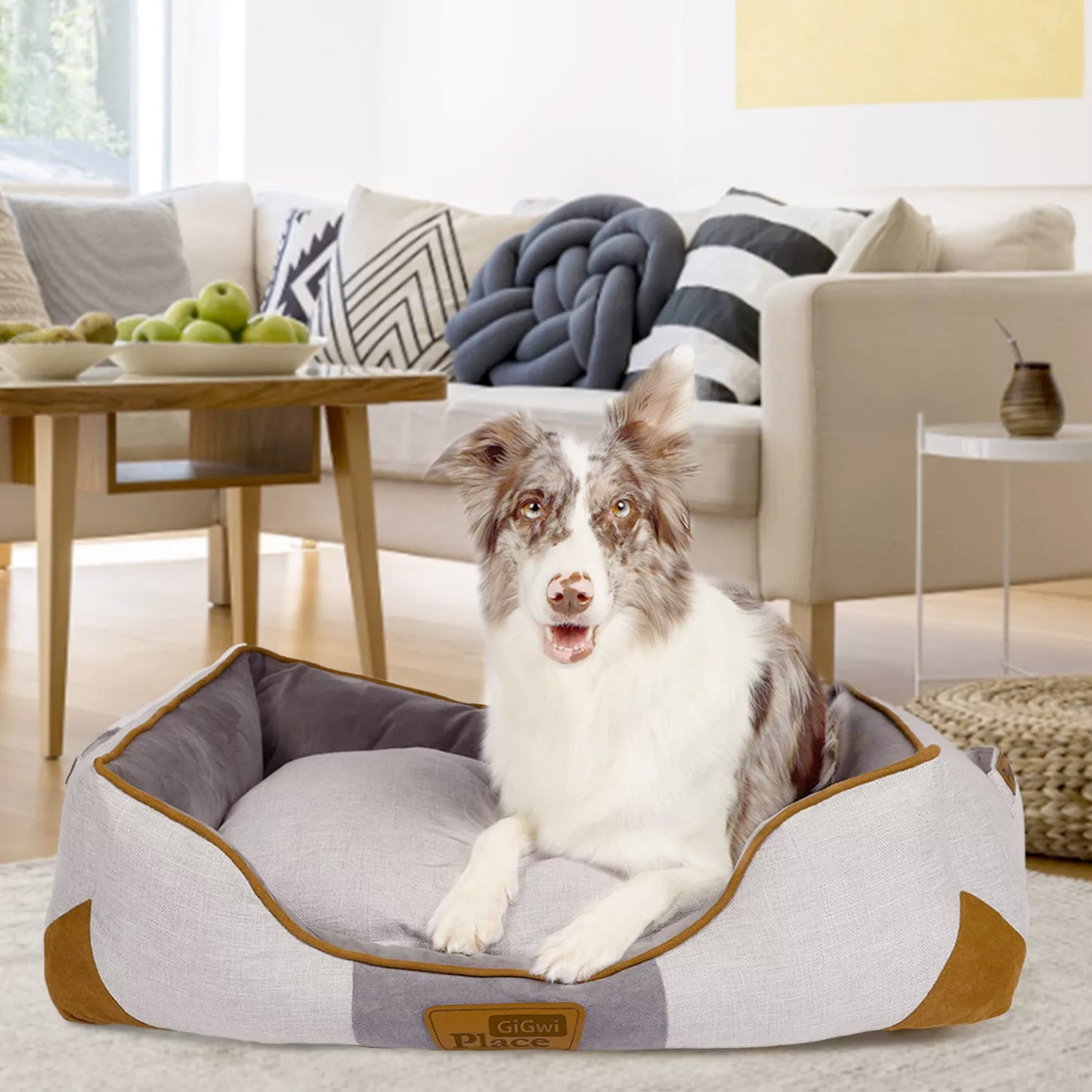 GiGwi Place Removable Cushion Luxury Dog Bed Square