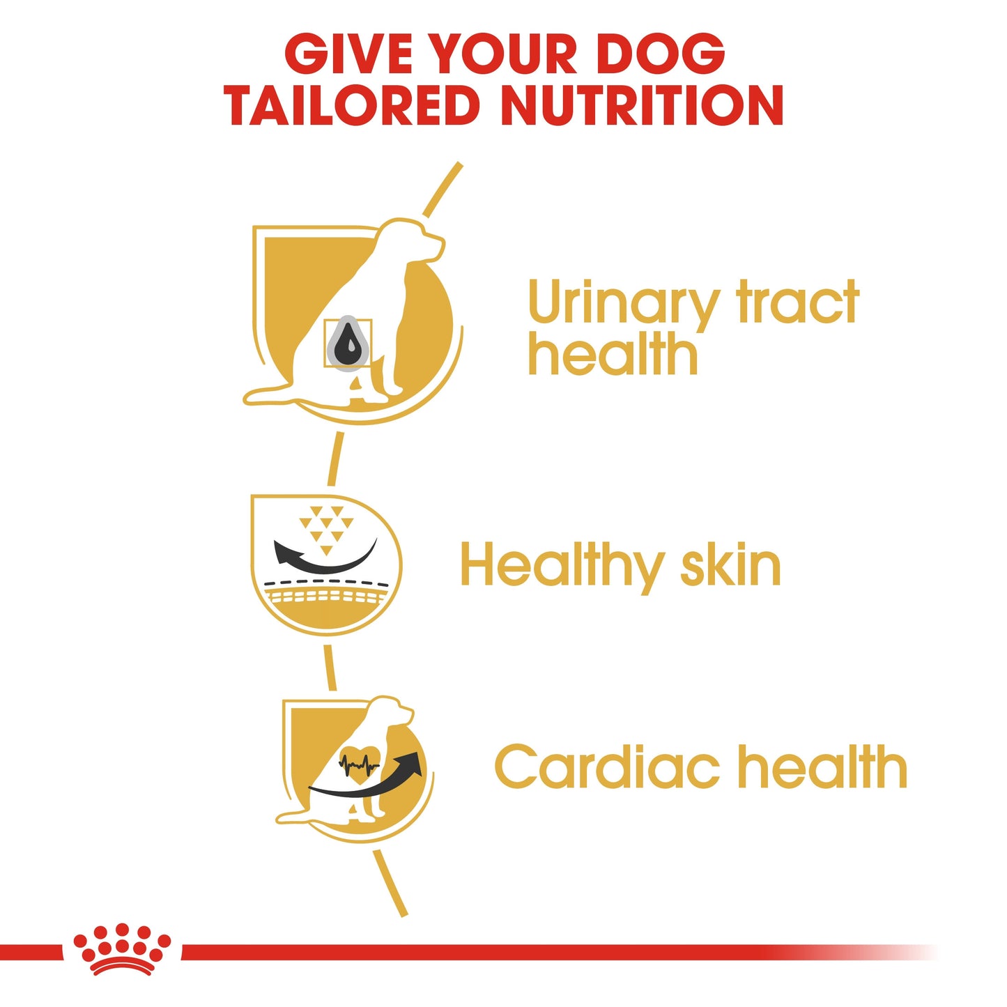 ROYAL CANIN DALMATIAN ADULT 12 KG