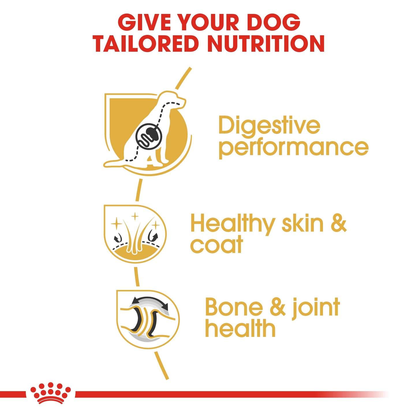 ROYAL CANIN GERMAN SHEPHERD ADULT