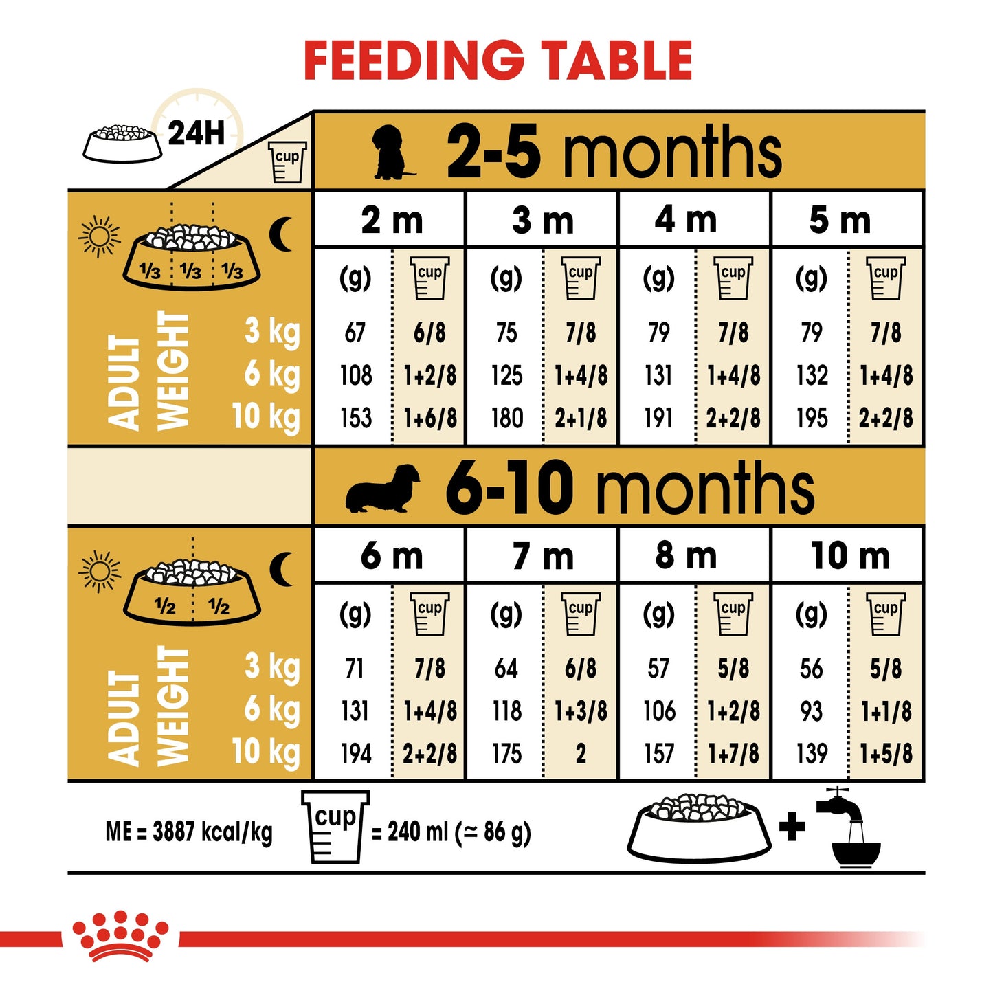 ROYAL CANIN DACHSHUND PUPPY 1.5 KG