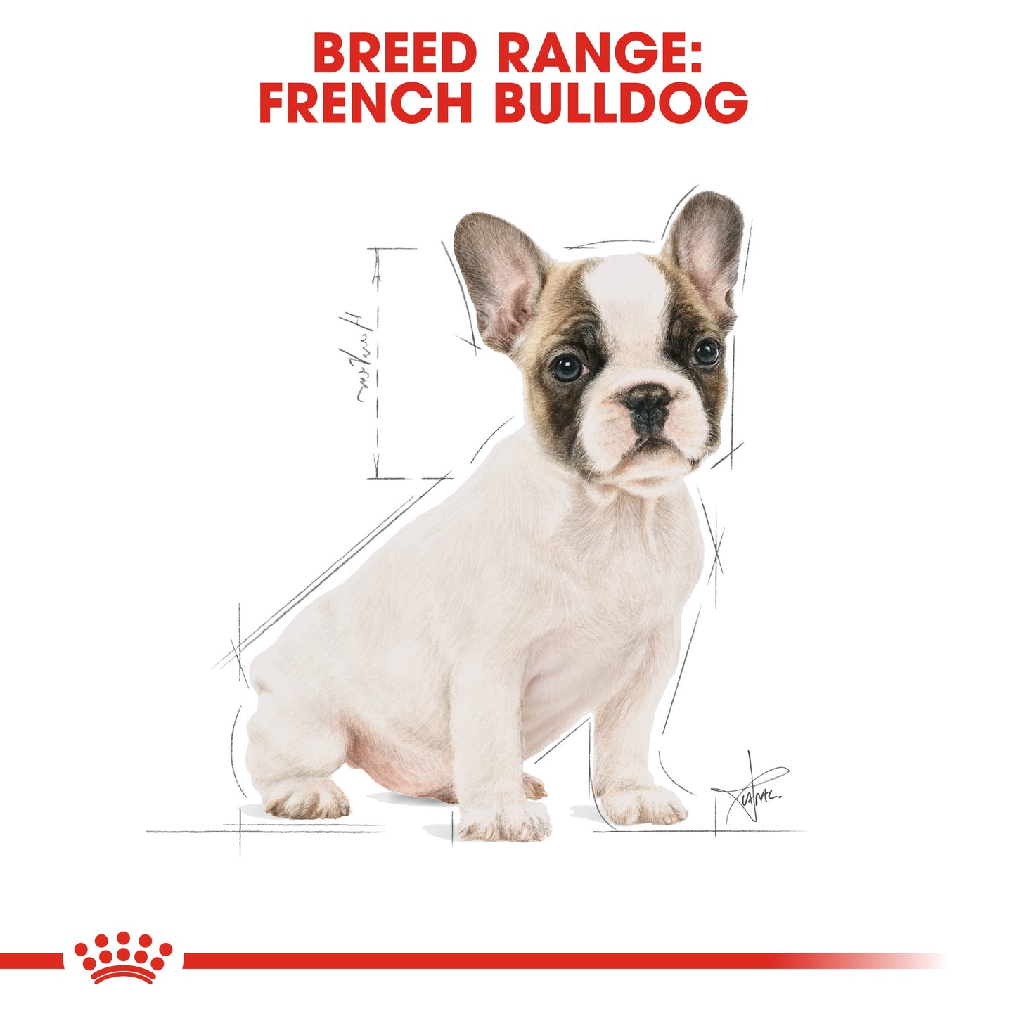 ROYAL CANIN  FRENCH BULLDOG PUPPY 3 KG