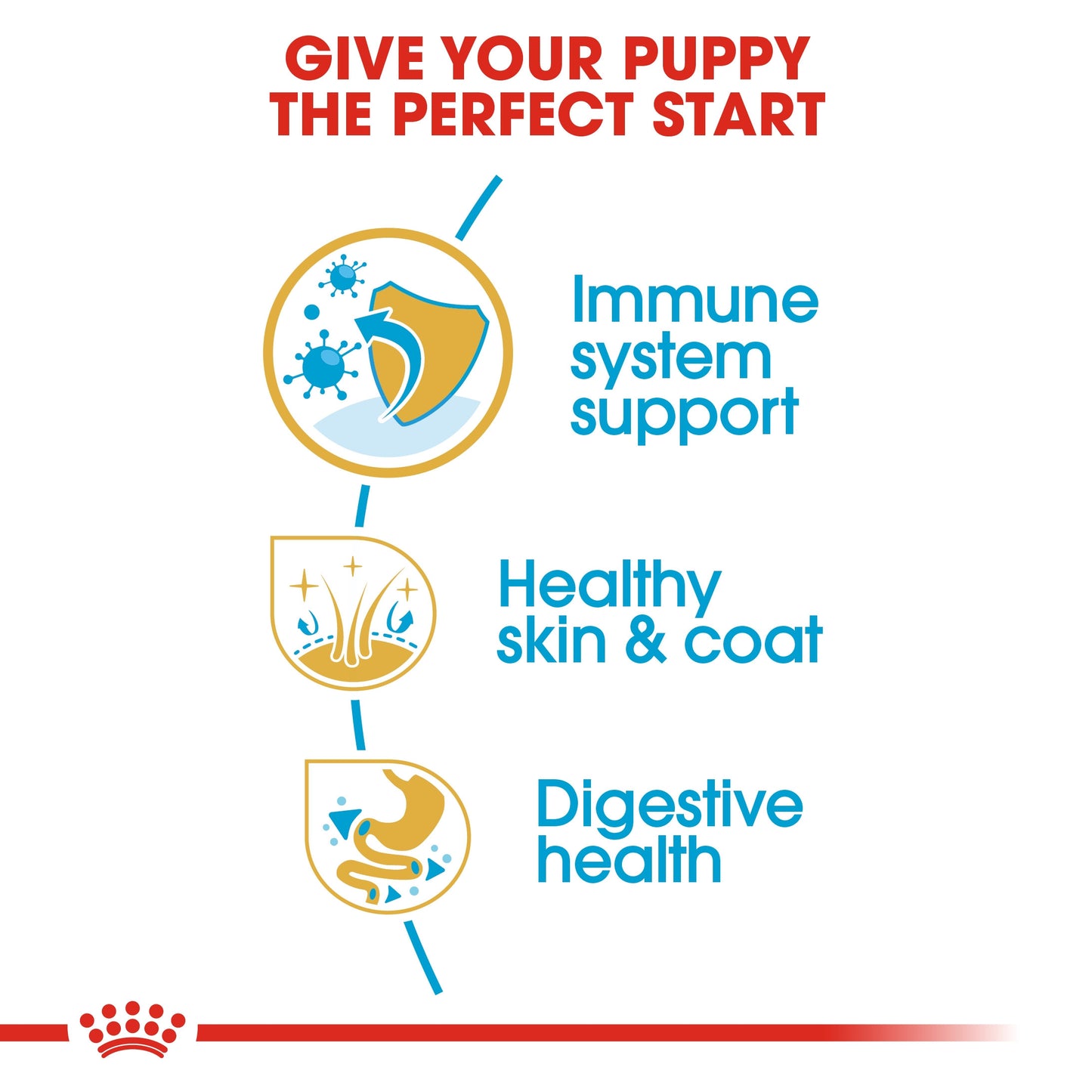 ROYAL CANIN GOLDEN RETRIEVER PUPPY 12 KG