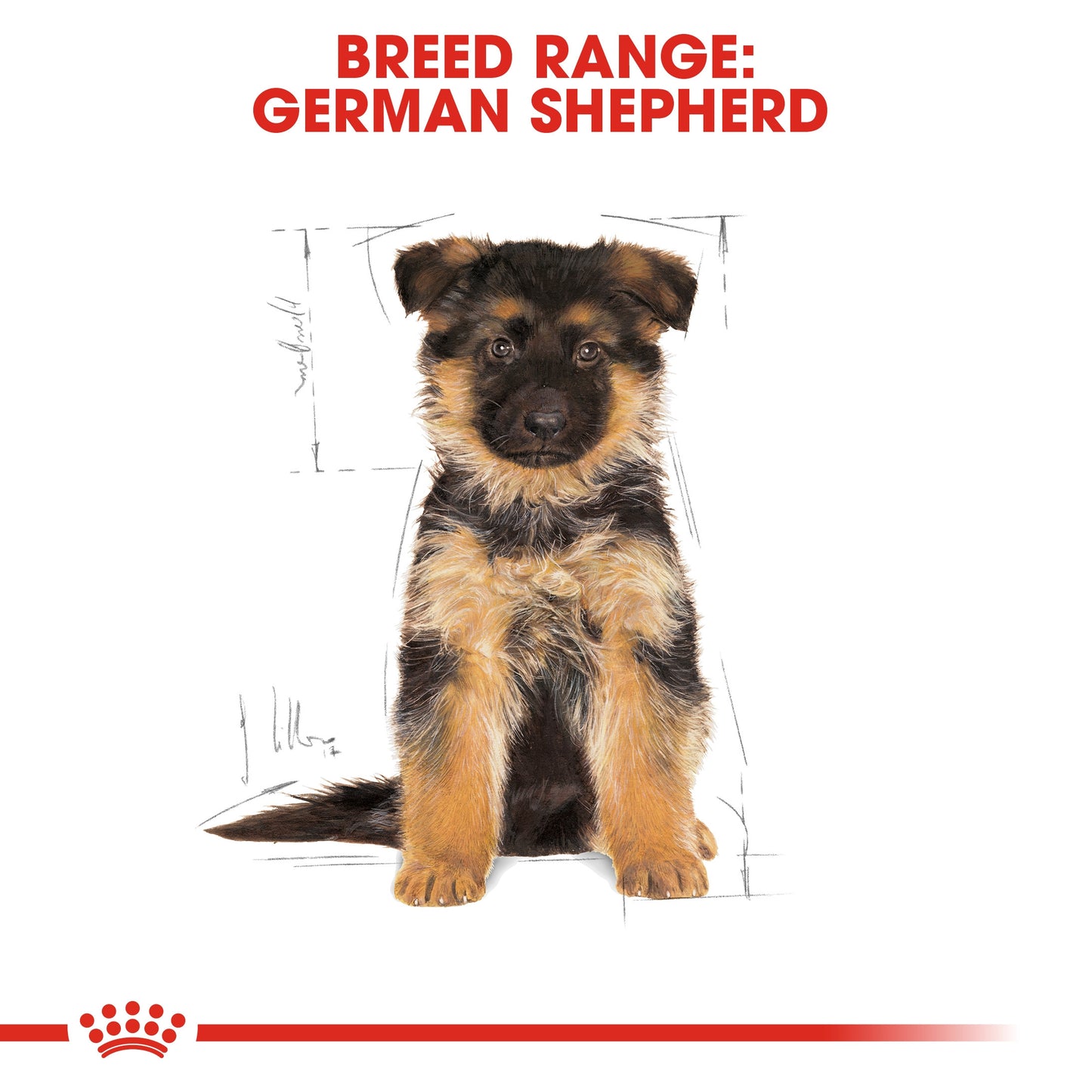 ROYAL CANIN GERMAN SHEPHERD PUPPY