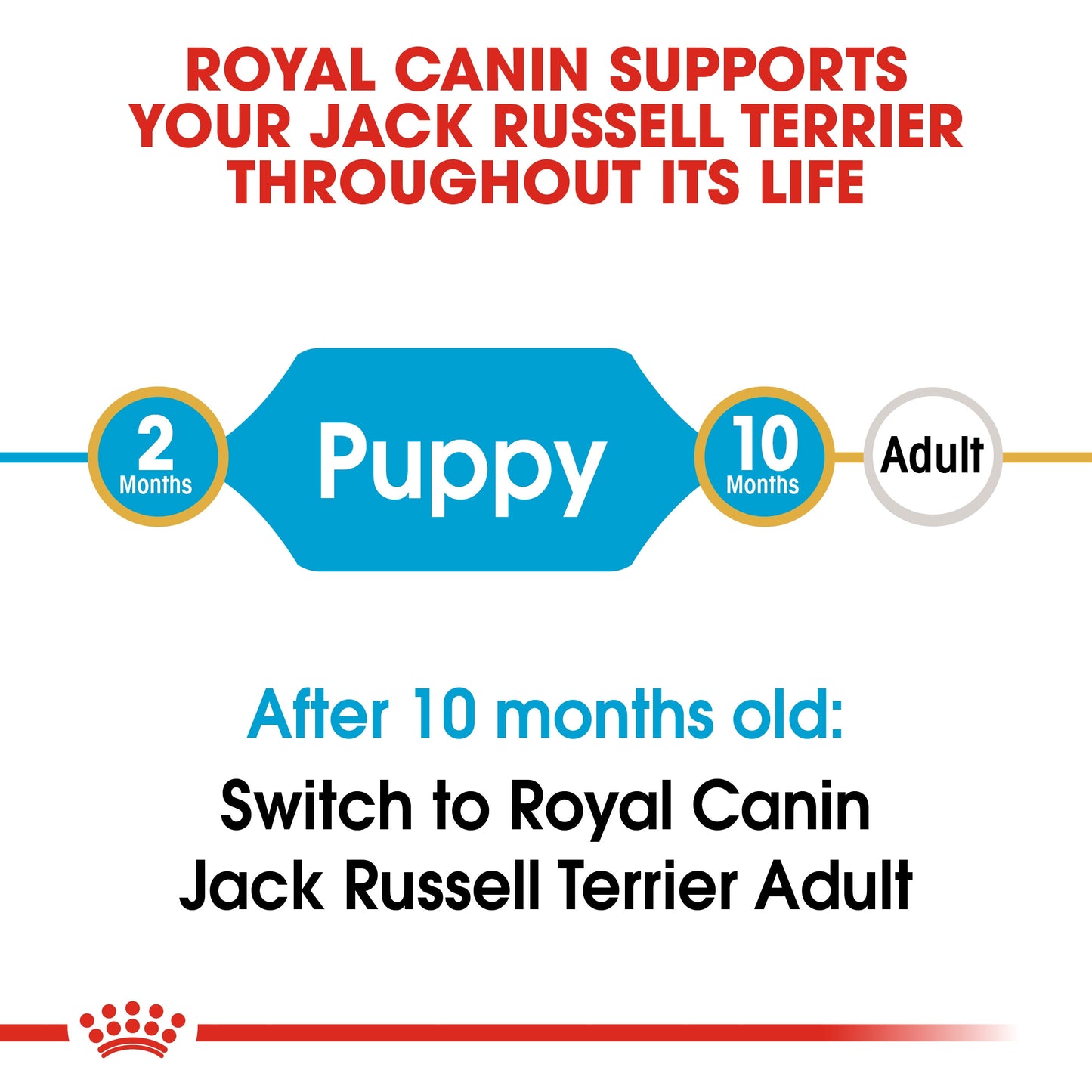 ROYAL CANIN ACK RUSSELL PUPPY 1.5 KG
