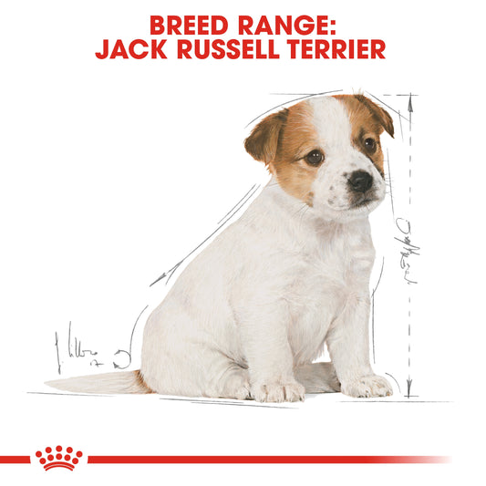 ROYAL CANIN ACK RUSSELL PUPPY 1.5 KG