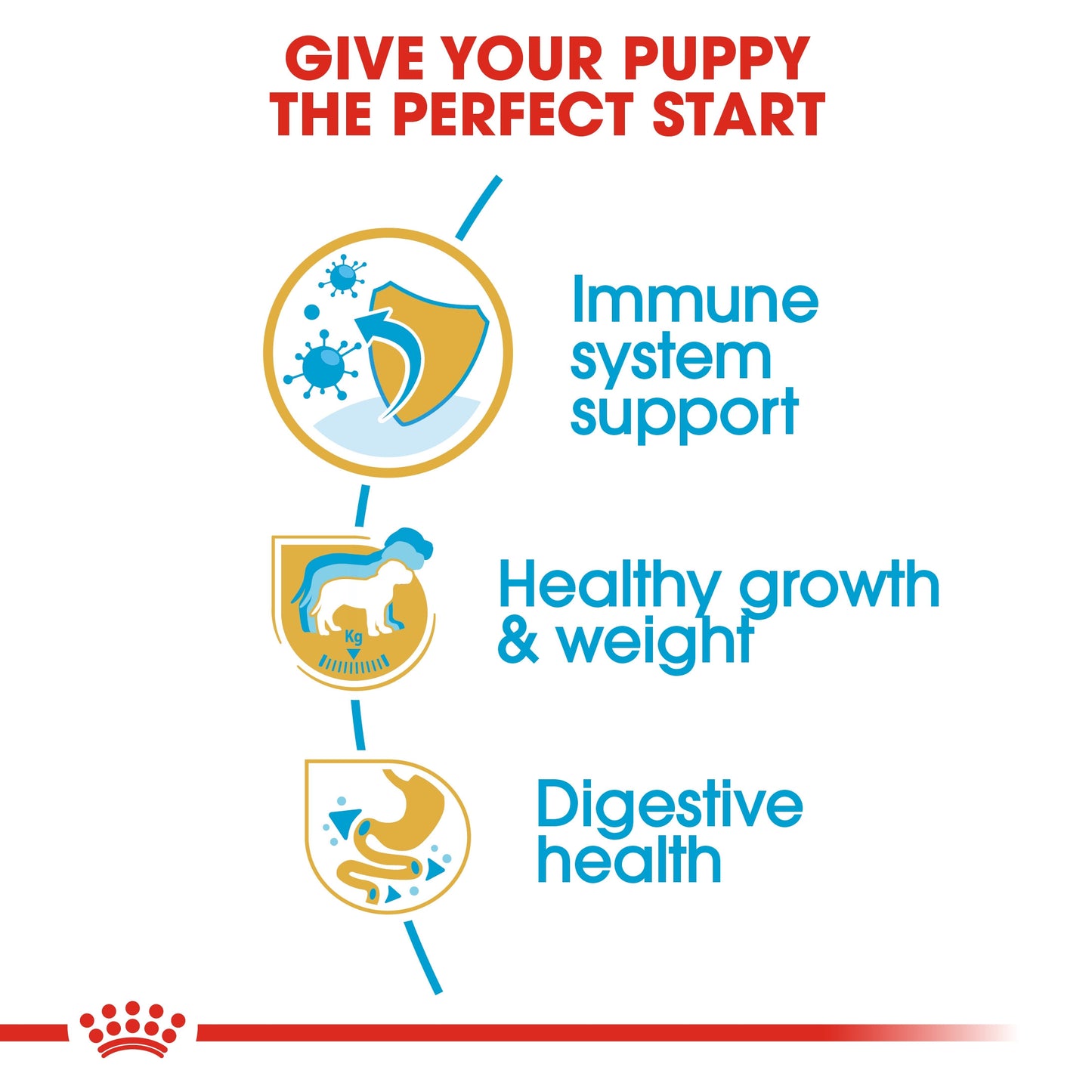 ROYAL CANIN LABRADOR PUPPY