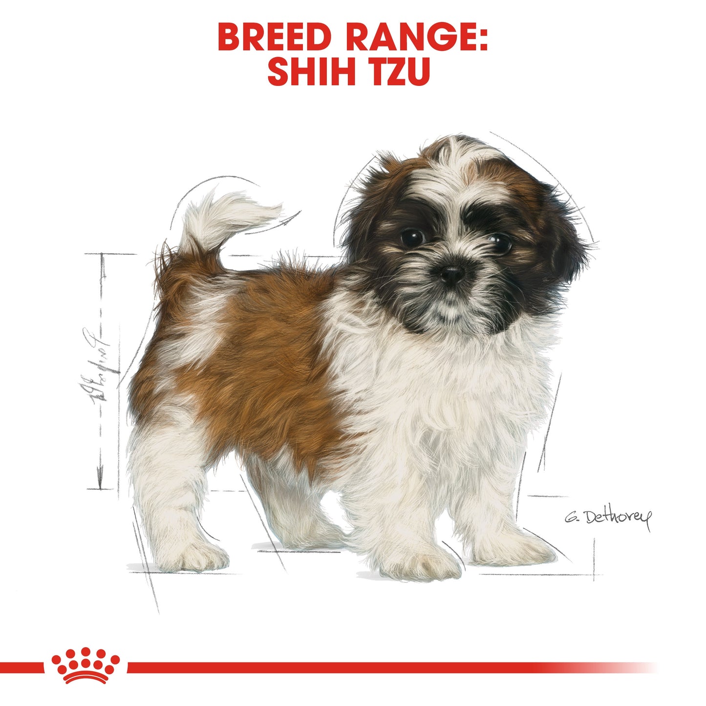 ROYAL CANIN SHIH TZU PUPPY 1.5 KG