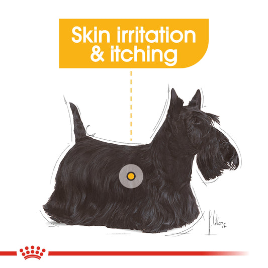 Royal Canin MINI DERMACOMFORT 3 KG