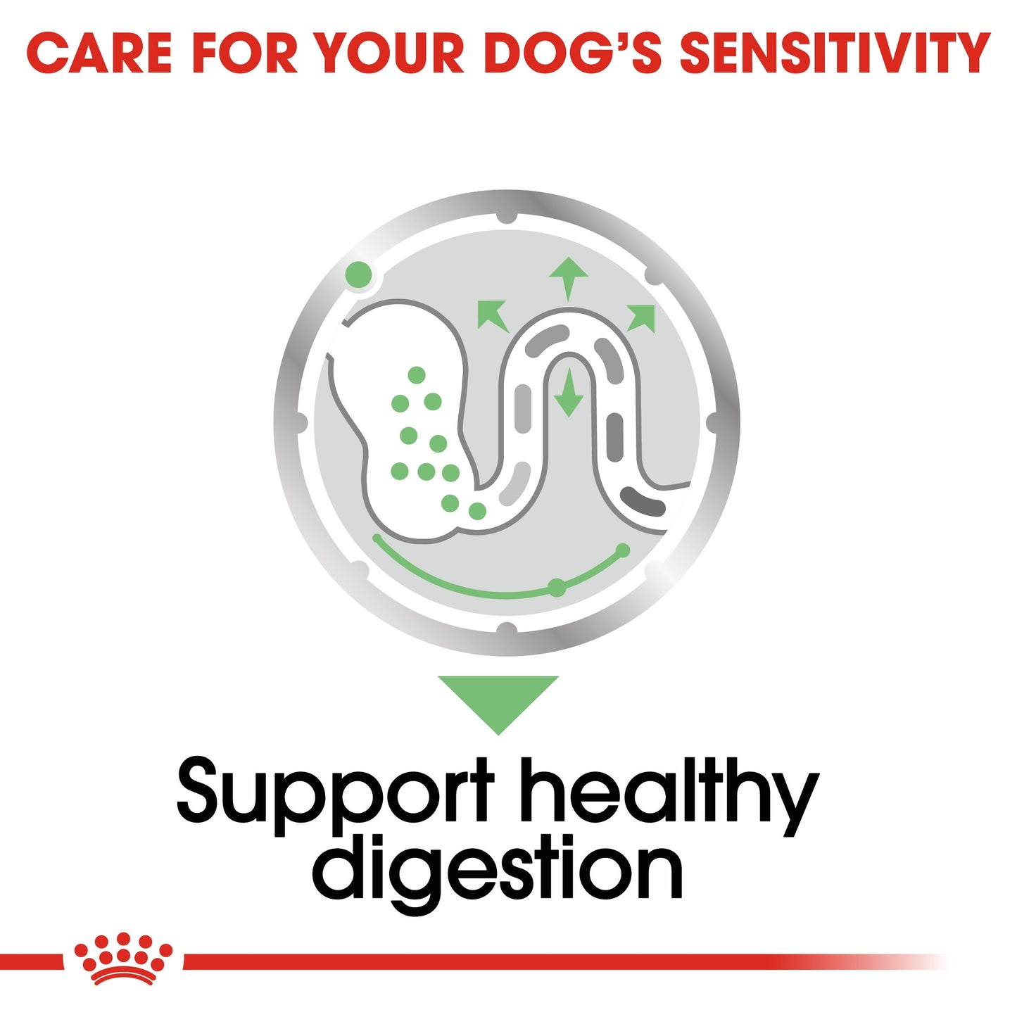 ROYAL CANIN DIGESTIVE CARE (WET FOOD - POUCHES)