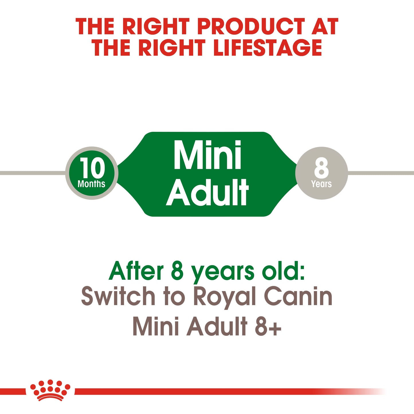 Royal Canin MINI ADULT