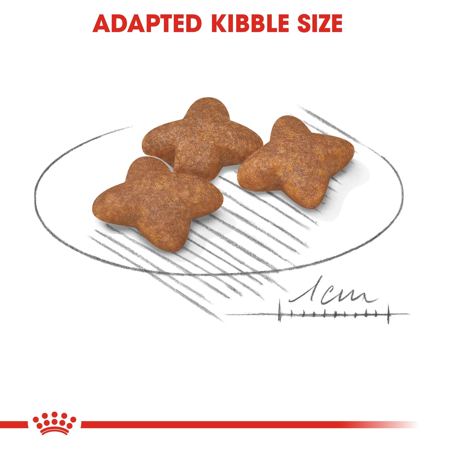 Royal Canin MINI ADULT