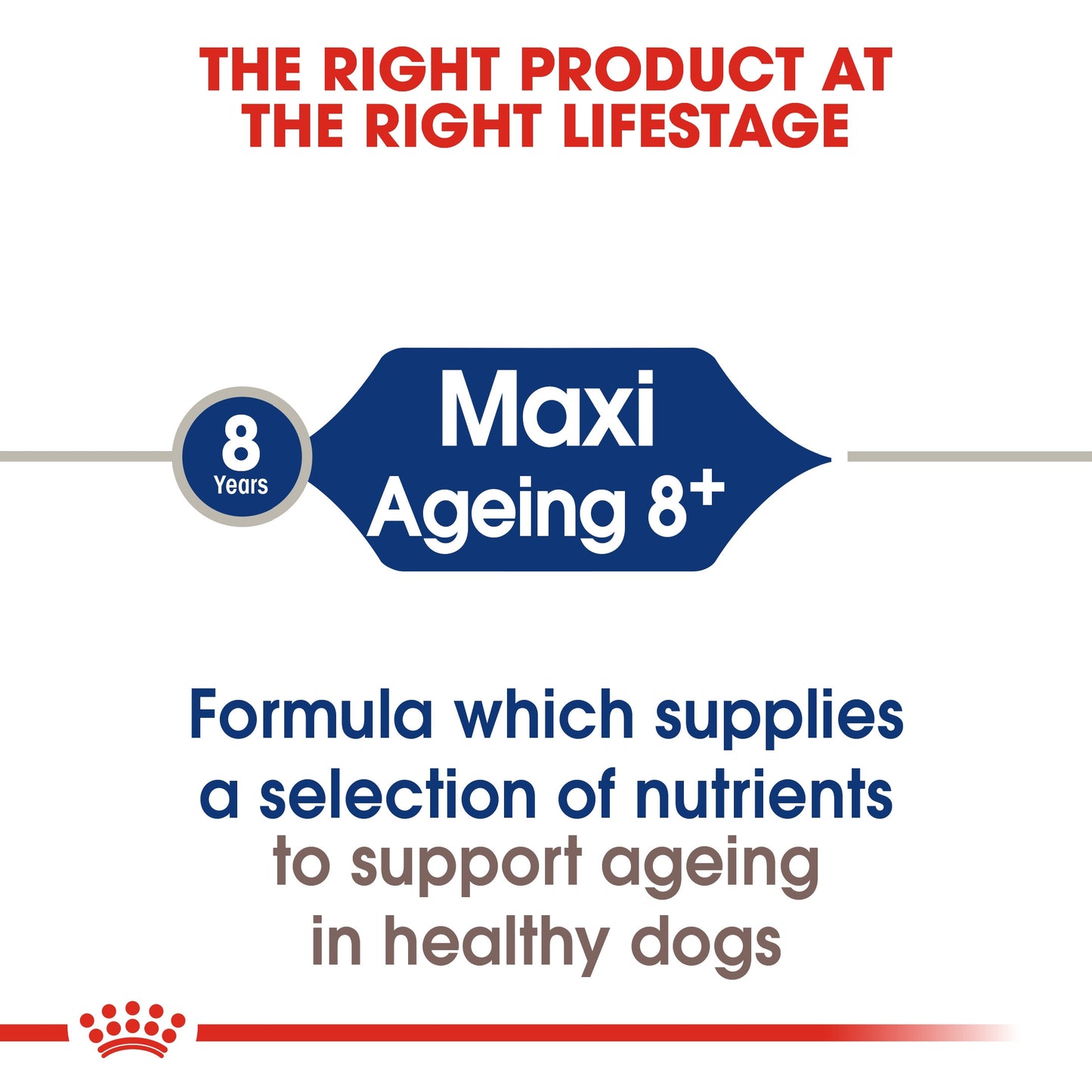 Royal Canin MAXI AGEING 8+ 15 KG