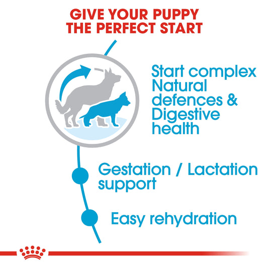 Royal Canin MAXI STARTER 15 KG