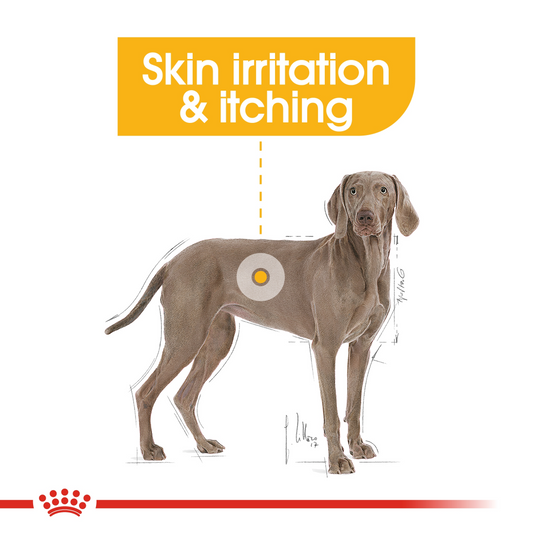 ROYAL CANIN MAXI DERMACOMFORT 12 KG