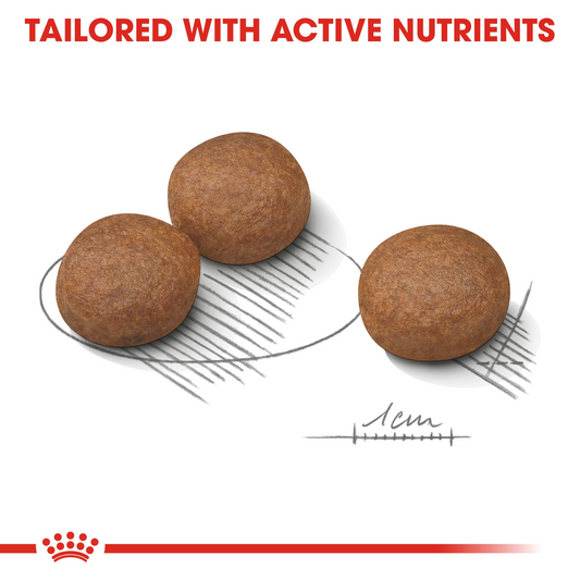 Royal Canin MEDIUM DIGESTIVE CARE 12 KG