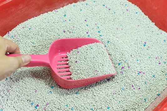 Plastic Cat Litter Scoop 1 Pcs